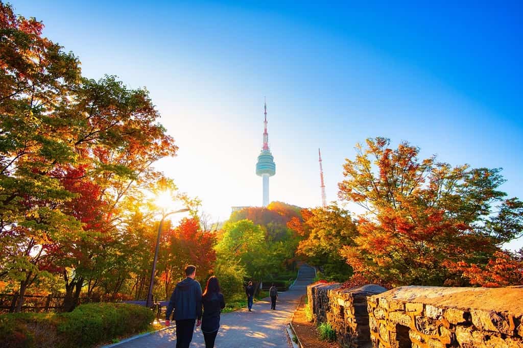 TOUR 6N5Đ HÀN QUỐC MÙA THU: HÀ NỘI - BUSAN - SEOUL - ĐẢO NAMI - INCHEON - ĐI PHÀ CHO HẢI ÂU ĂN BAY VJ